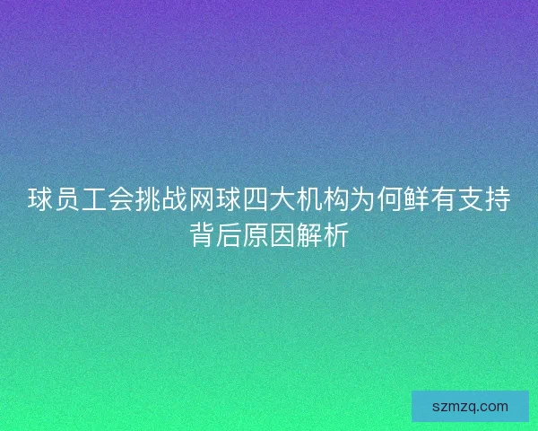 球员工会挑战网球四大机构为何鲜有支持背后原因解析